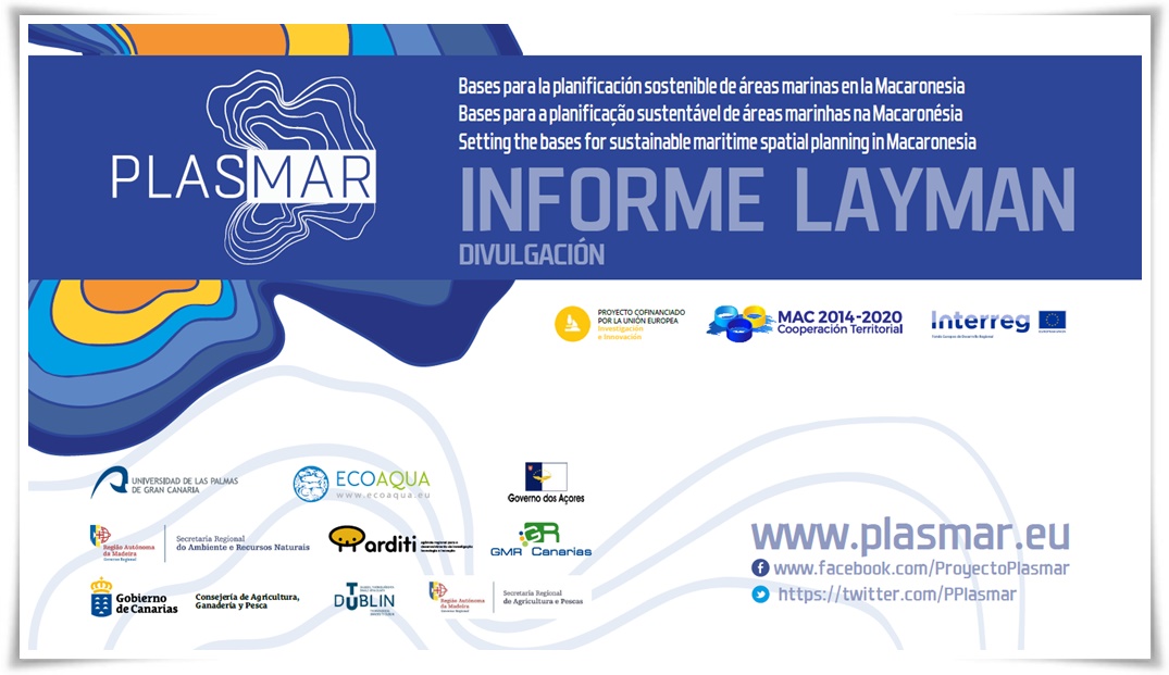 Informe Layman PLASMAR